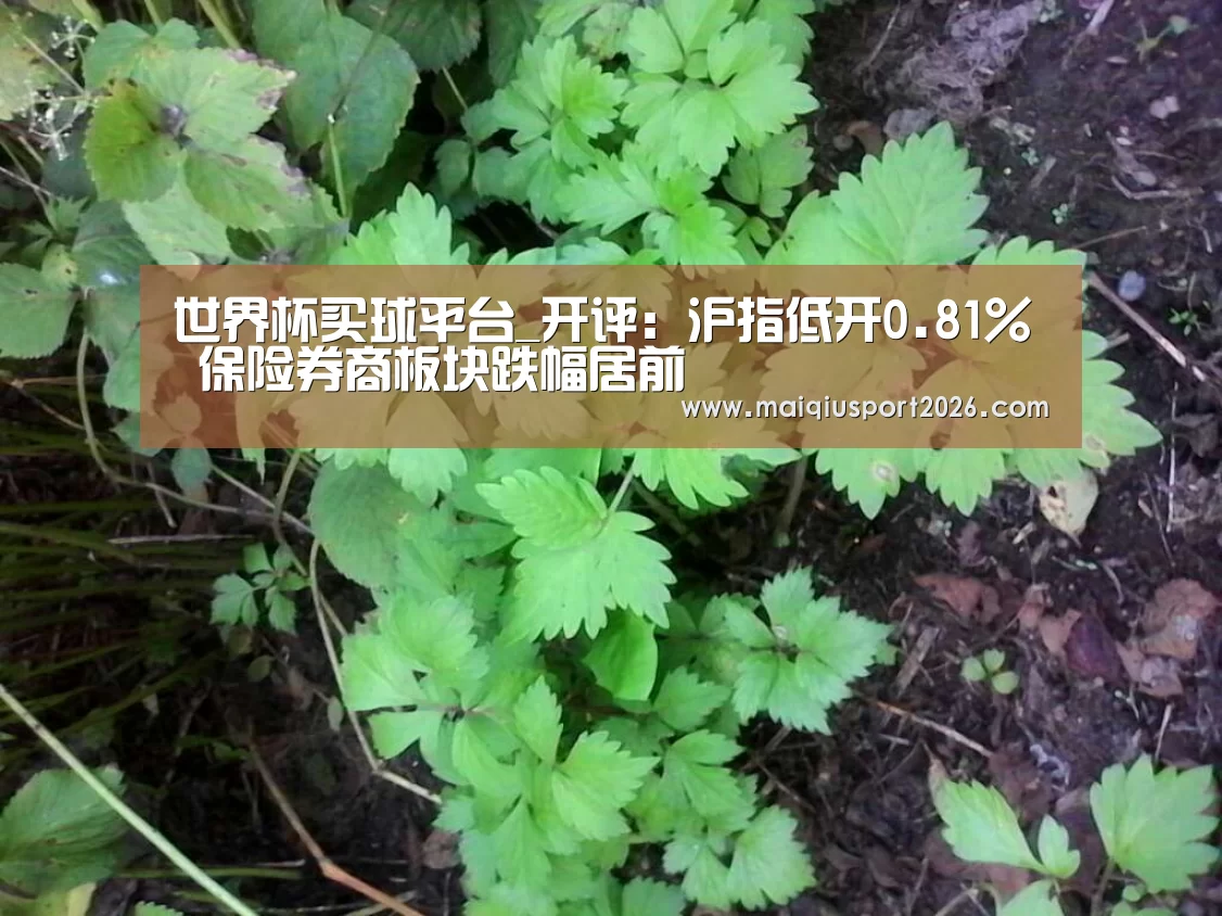 世界杯买球网站