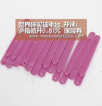 世界杯买球网站