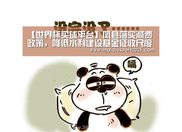 世界杯买球平台