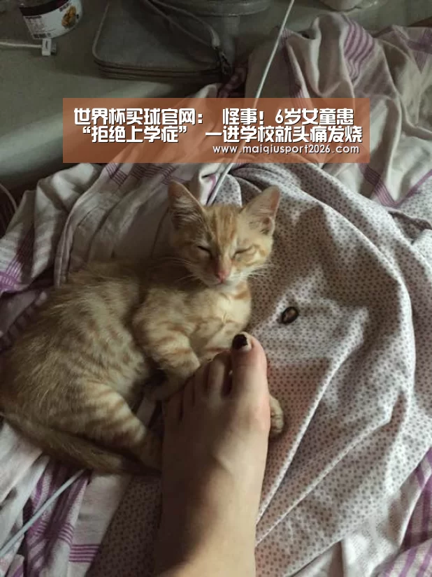 世界杯买球平台