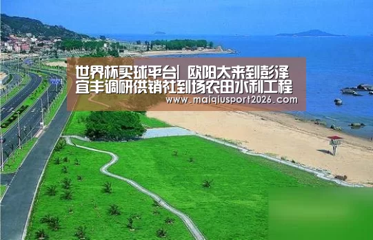 世界杯买球平台